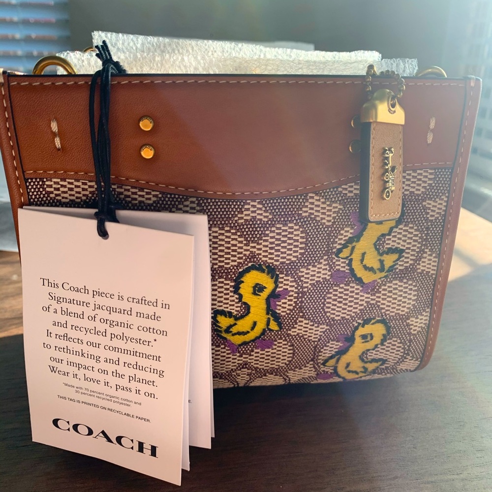 Coach Rogue 17